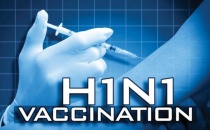 ������� ������� ��������� ���������� �� ����������� ����� A(H1N1)