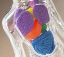 ��� ������ ���� �������������� �� ����� ��������� ����