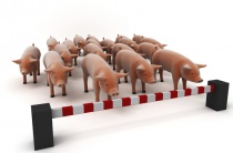 ��������� ��� ���� �� ����� �� �����