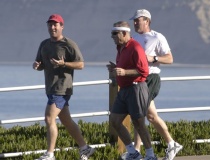 ��������� ��������� �������� � ���������