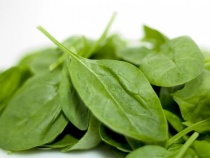 �������� ������ ������ � ������