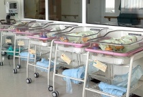 ������������ � �������� ��������, ����������� - ��������