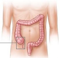 ����� ������� �� ������� ���� �� ���������� �� ���������