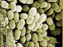 ����������� �� ������