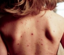 �������� �� ������� �� ����������