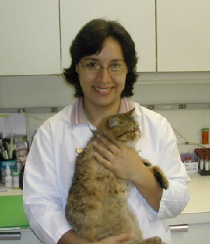 ������� �� ������������� ������