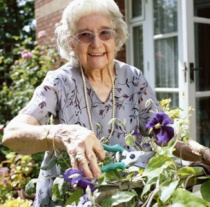 ����������� ������ ����� �� ������, �� �� � ����