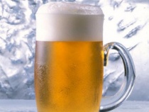 ����-����������