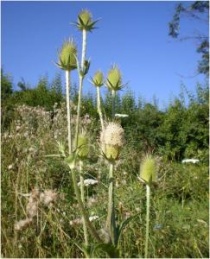 ����� ����� ��... ��� ��������� �� ����-�����