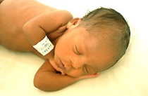 ������� ����� ���� ��� ������������