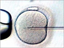 ������ ������� �� �������������� ������� ���������� ������� �� ��������