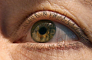 ������� �� �������