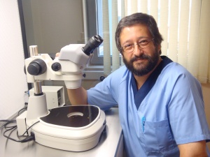 �������� ������� � ���� �� �������� �����