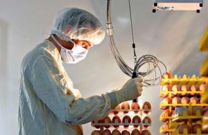 ��������� ���� ���� �� �� �������� �� ������ ��������