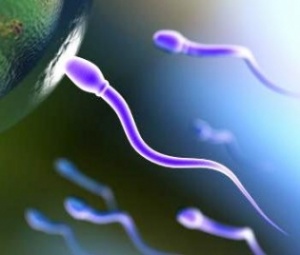 ���������� � ����������� �� ��� ���� ����