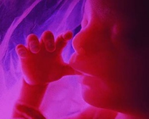 ������ ��-����� ������ � ���. � ����������, � �������