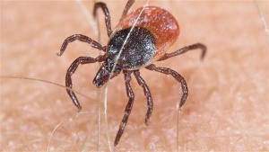 ��������� �������!