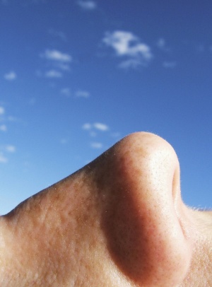 ���������� � �������� �� ���������� �� ������