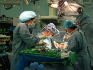 ����� ���������� ������� �� �����������. T������ ������� �������