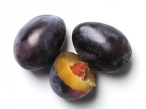 ���� ����� �� ������ �����