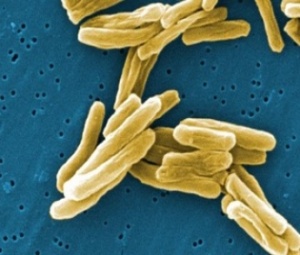 ��� � ������ ����� �������������