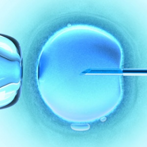 ������ ������ �� �� �������