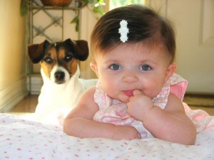 ��� 28 ���� �������� ���� �� �����