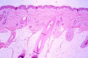 ����� ������ ������� � ��������� �� ���