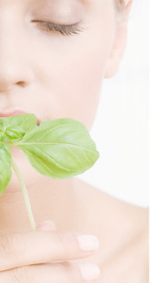 ����� ������� ������ � ��������������� � ������� ��������� �� ������ � �������