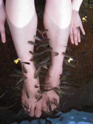 ����� ������ �������, ������� � �����