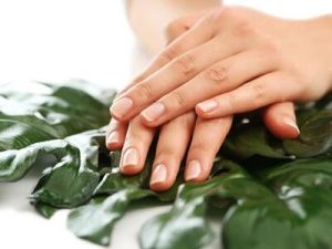 ������� ������� ���������, ����������� � �������� �������