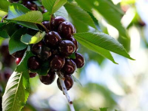 ������������ � ������� ������ ������ ����� �� ������� ���������� ��� �� �������